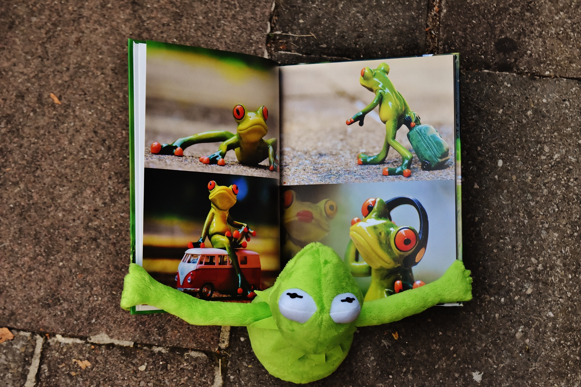 hmotný fotoalbum